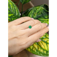 0.79 Ct. Emerald from Zambia Life Style