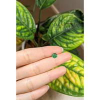 0.79 Ct. Emerald from Zambia Life Style