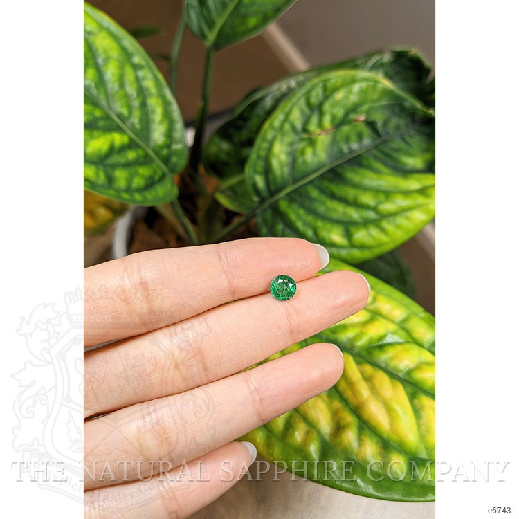 0.79 Ct. Emerald from Zambia
