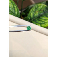 0.79 Ct. Emerald from Zambia Life Style