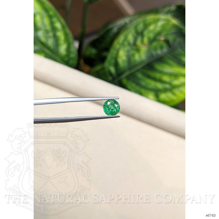 0.79 Ct. Emerald from Zambia