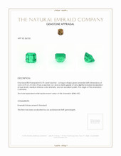 0.70 Ct. Emerald from Colombia Appraisal