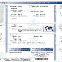 20.52 Ct. Emerald from Colombia Scan Report