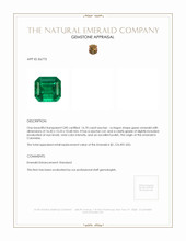 16.70 Ct. Emerald from Colombia Appraisal