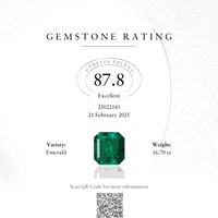 16.70 Ct. Emerald from Colombia Scan Report