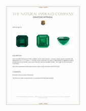 22.60 Ct. Emerald from Colombia Appraisal