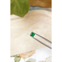0.48 Ct. Emerald from Zambia Life Style