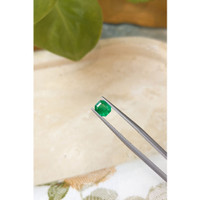 0.83 Ct. Emerald from Colombia Life Style