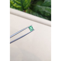 1.49 Ct. Emerald from Russia Life Style
