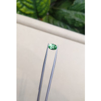 1.31 Ct. Emerald from Russia Life Style