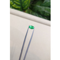 1.37 Ct. Emerald from Russia Life Style