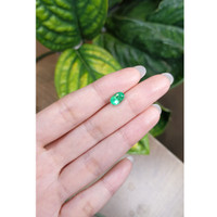 1.37 Ct. Emerald from Russia Life Style