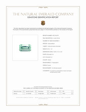 Jewelry Scan Report