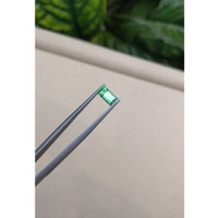 1.19 Ct. Emerald from Russia Life Style