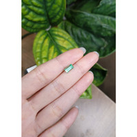 1.19 Ct. Emerald from Russia Life Style