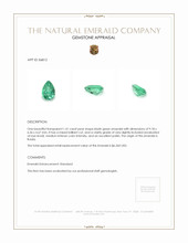 1.41 Ct. Emerald from Russia Appraisal