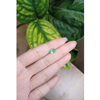 1.24 Ct. Emerald from Russia Life Style