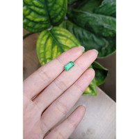 1.59 Ct. Emerald from Russia Life Style