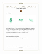 1.18 Ct. Emerald from Russia Appraisal