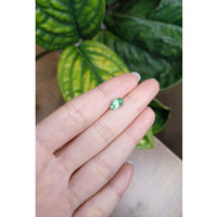 1.18 Ct. Emerald from Russia Life Style