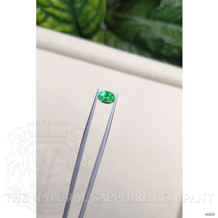 1.07 Ct. Emerald from Russia