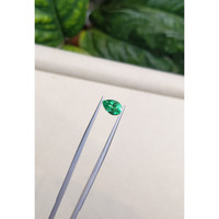 1.19 Ct. Emerald from Russia Life Style