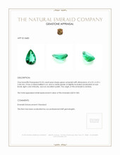 0.35 Ct. Emerald from Zambia Appraisal