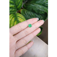 1.57 Ct. Emerald from Russia Life Style