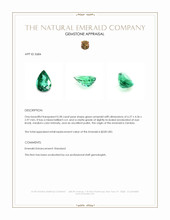 0.38 Ct. Emerald from Zambia Appraisal