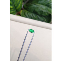 1.48 Ct. Emerald from Russia Life Style