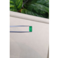 1.73 Ct. Emerald from Russia Life Style