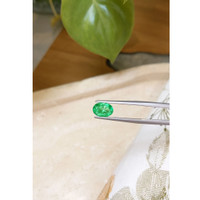 1.44 Ct. Emerald from Russia Life Style