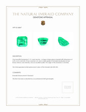 1.21 Ct. Emerald from Colombia Appraisal