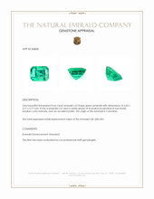 0.66 Ct. Emerald from Colombia Appraisal