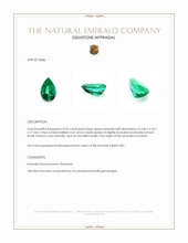 0.42 Ct. Emerald from Zambia Appraisal