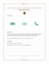 1.89 Ct. Emerald from Russia Appraisal