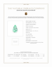 Jewelry Scan Report