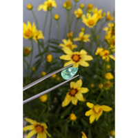 2.71 Ct. Emerald from Russia Life Style