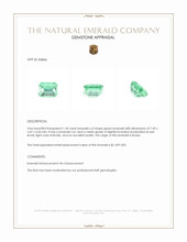 1.34 Ct. Emerald from Russia Appraisal