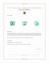 1.02 Ct. Emerald from Russia Appraisal
