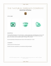 1.02 Ct. Emerald from Russia Appraisal