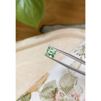 1.72 Ct. Emerald from Russia Life Style