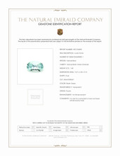 Jewelry Scan Report