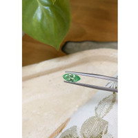 1.29 Ct. Emerald from Russia Life Style