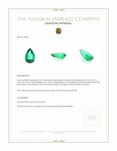 0.32 Ct. Emerald from Zambia Appraisal