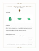 Jewelry Appraisal