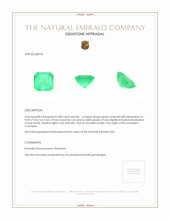 3.80 Ct. Emerald from Colombia Appraisal