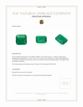 6.84 Ct. Emerald from Colombia Appraisal