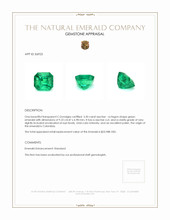 3.50 Ct. Emerald from Colombia Appraisal