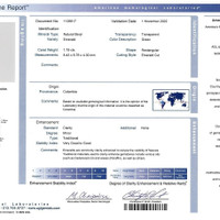 1.79 Ct. Emerald from Colombia Scan Report